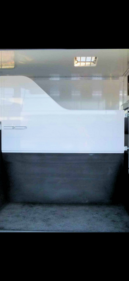 Van per Cavalli Fiat  Ducato 2025 Occasione