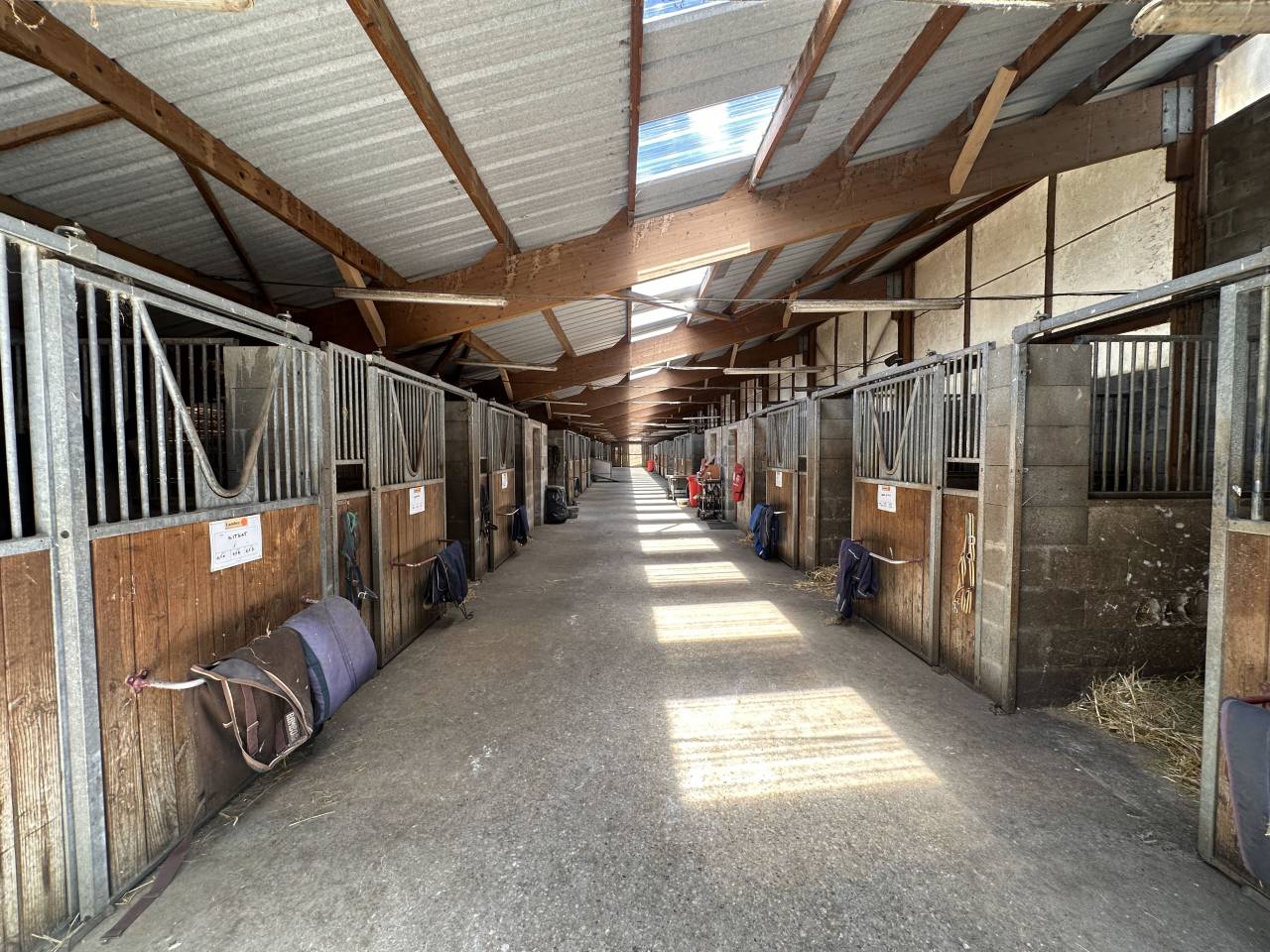 Scuderia per proprietari In vendita Ain