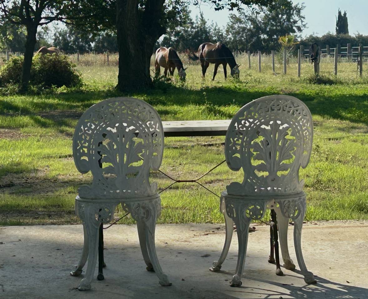 Propriet&agrave; equestre In vendita Pyr&eacute;n&eacute;es-Orientales