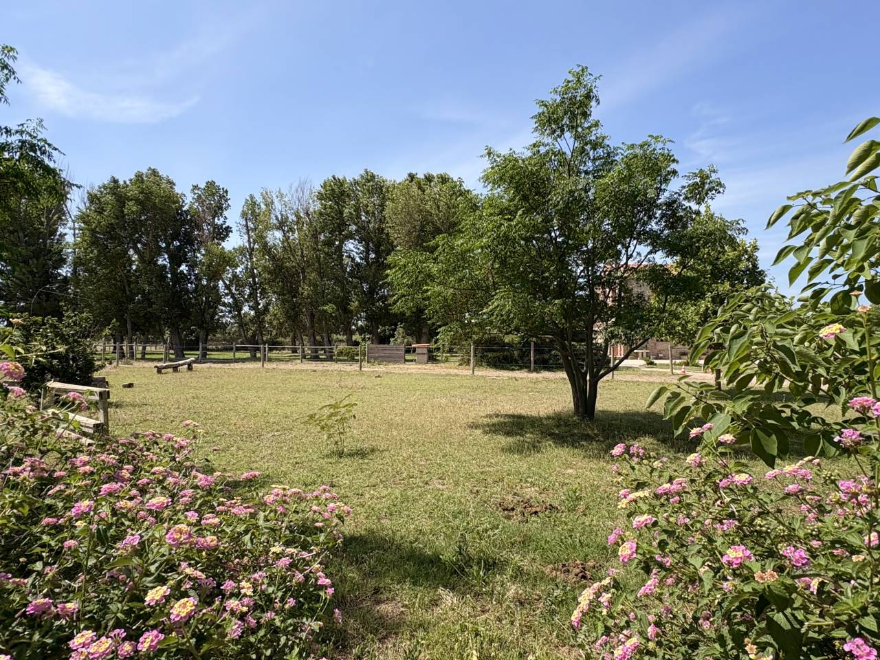 Propriet&agrave; equestre In vendita Pyr&eacute;n&eacute;es-Orientales