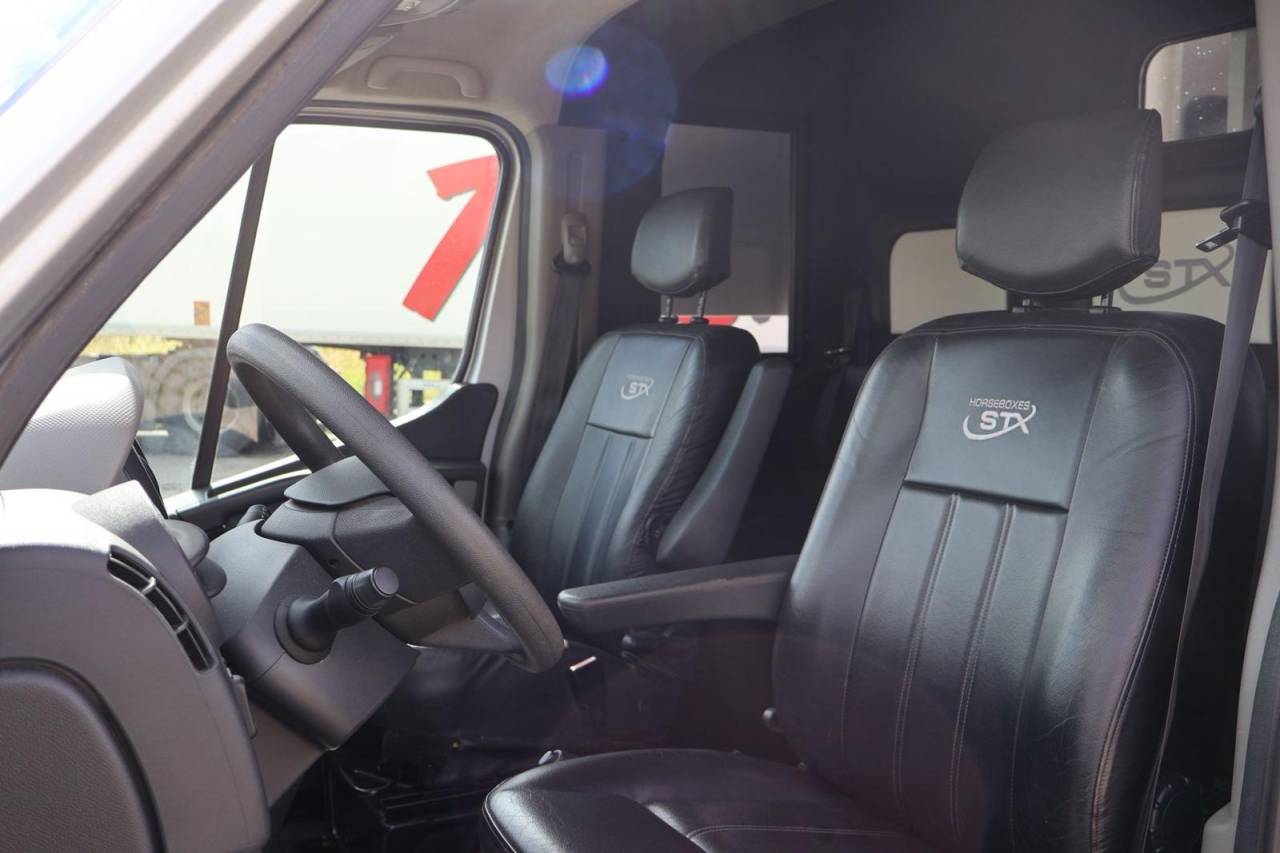 Van per Cavalli STX STX 2017 Occasione