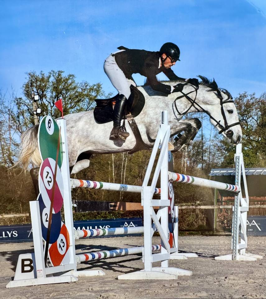 Cavalla Sella Francese In vendita 2019 Grigio ,  Andiamo semilly