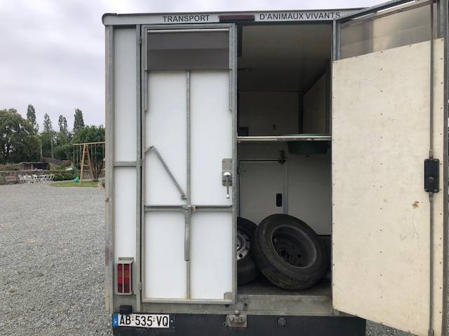 Van per Cavalli Renault 120D 2009 Occasione