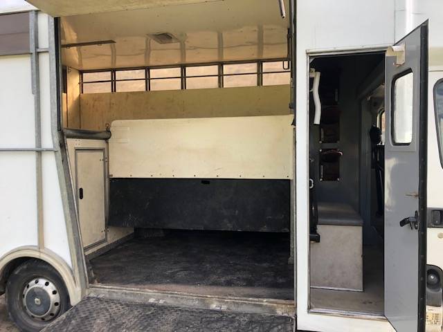 Van per Cavalli Renault 120D 2009 Occasione