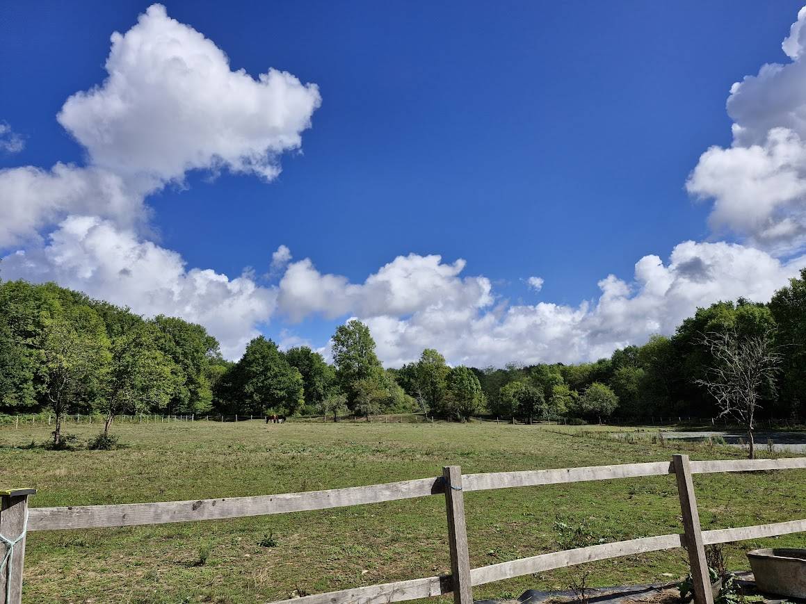 Propriet&agrave; equestre In vendita Charente