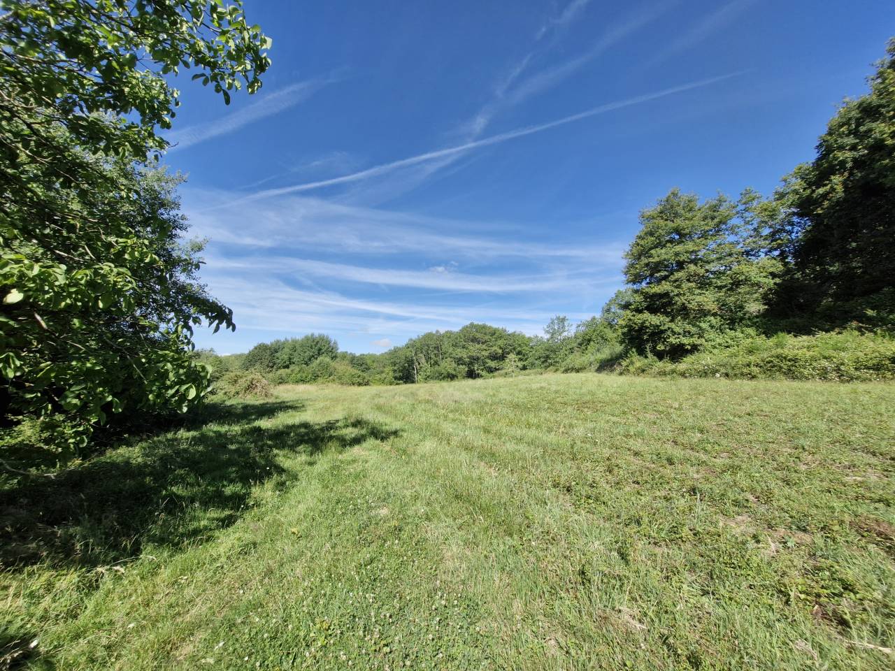 Propriet&agrave; equestre In vendita Charente