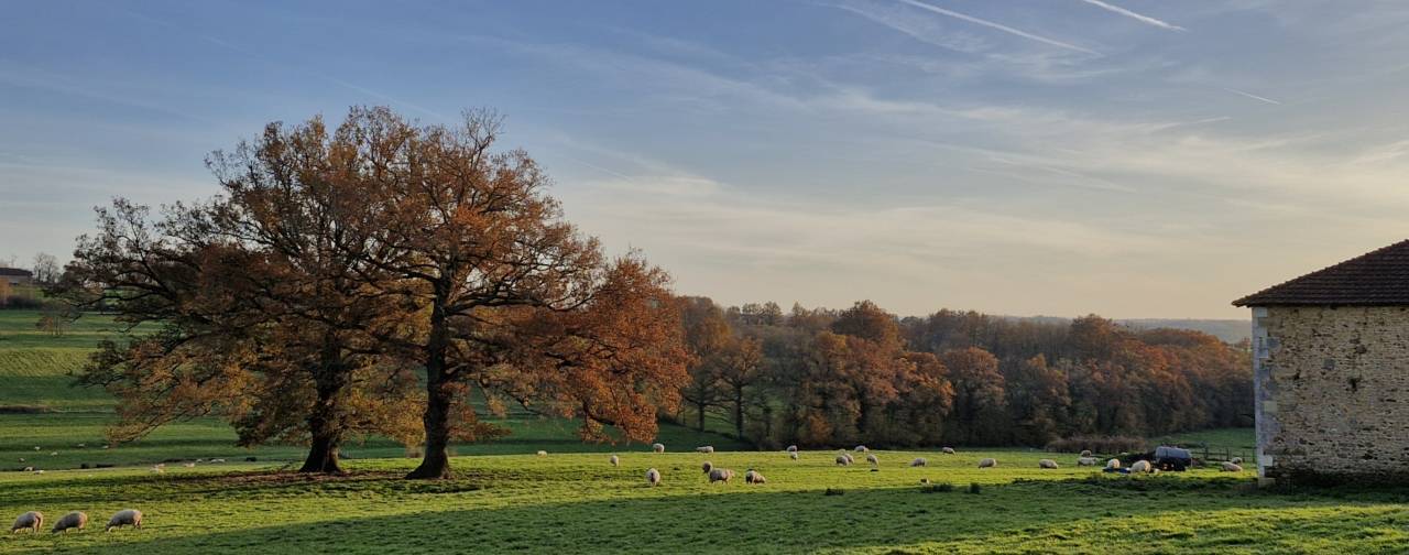 Propriet&agrave; equestre In vendita Charente