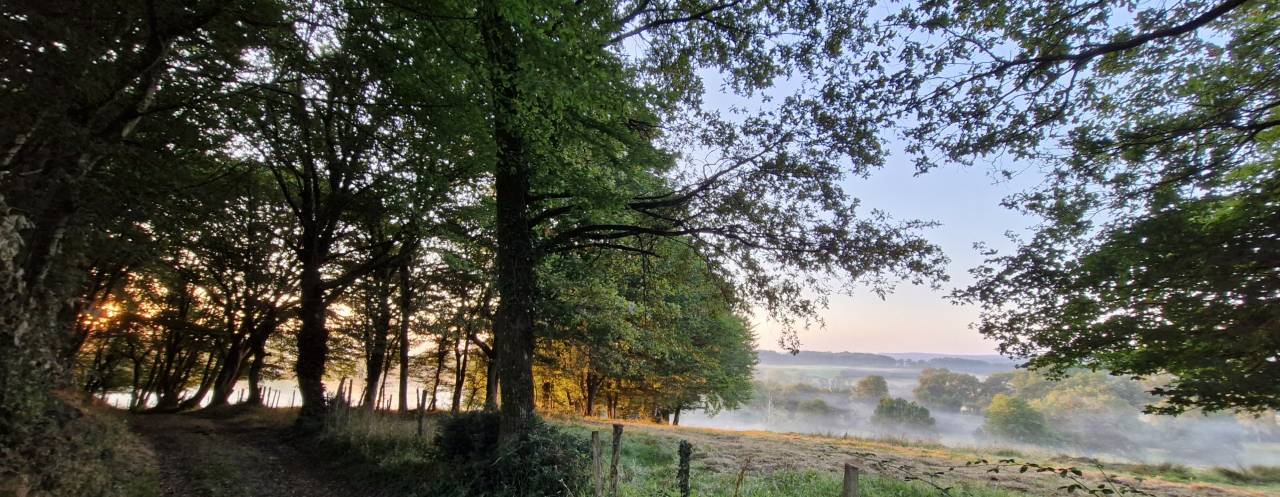 Propriet&agrave; equestre In vendita Charente