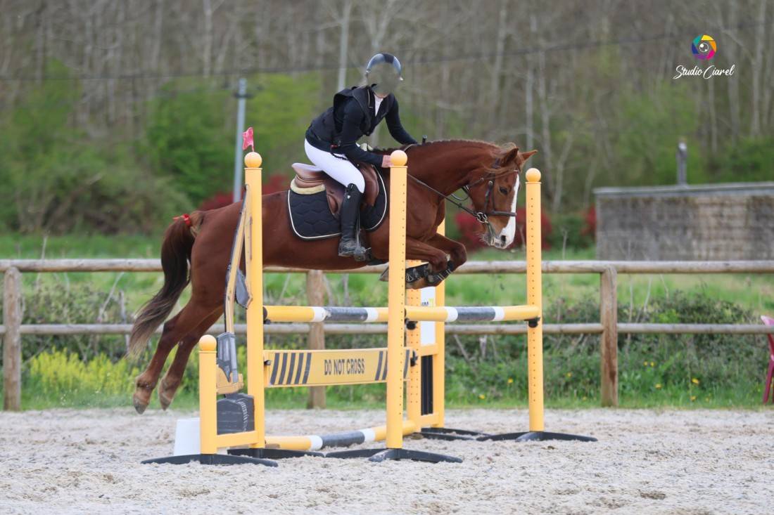 Cavalla PFS Pony Francese da Sella In vendita 2018 Sauro ,  Tijuana Kersidal