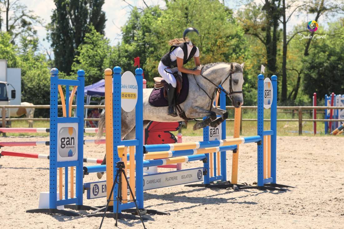 Cavalla Origine non conosciuta  In vendita 2019 Grigio ,  Fo'Reveur Du Jump