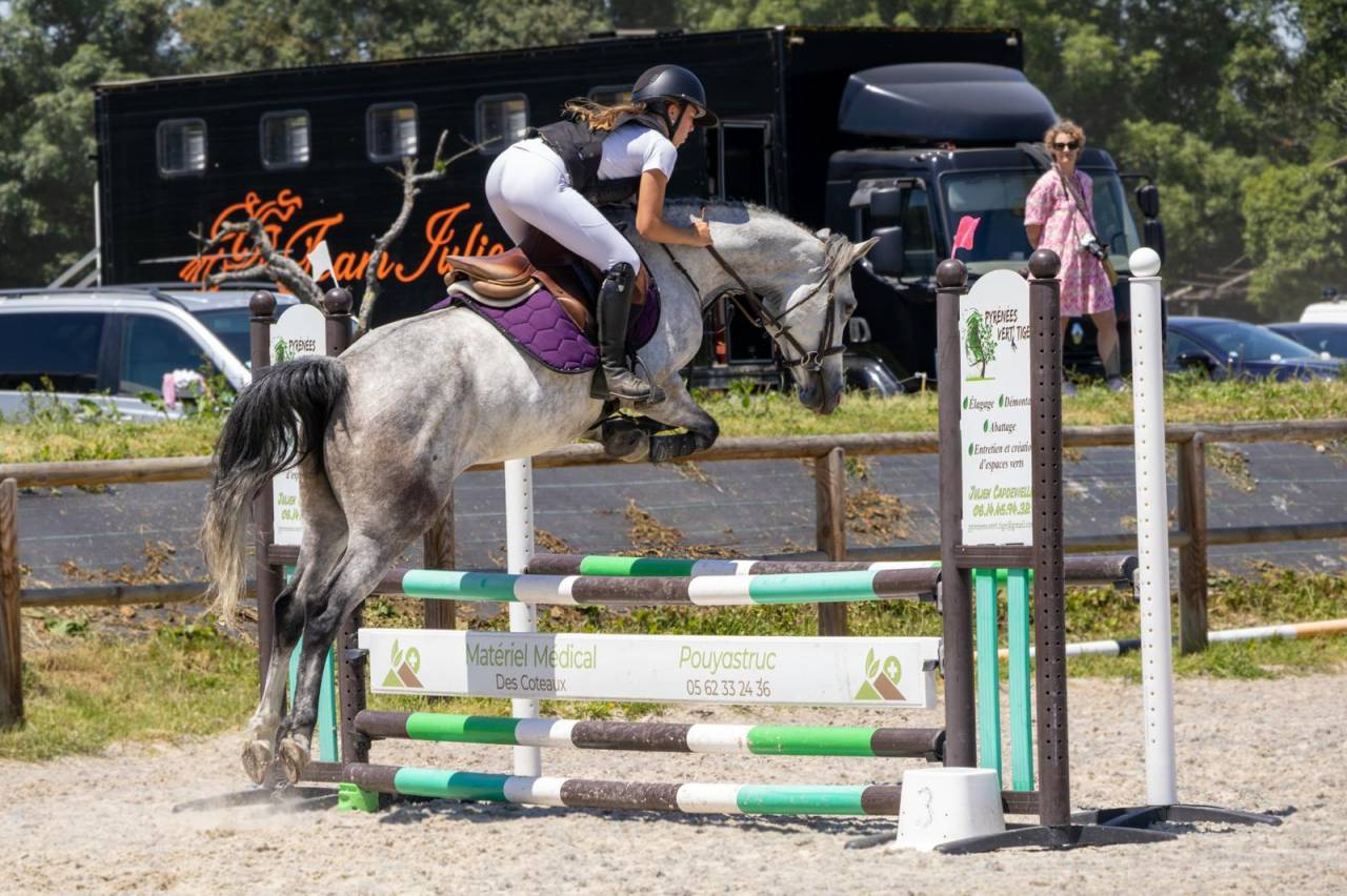 Cavalla Origine non conosciuta  In vendita 2019 Grigio ,  Fo'Reveur Du Jump