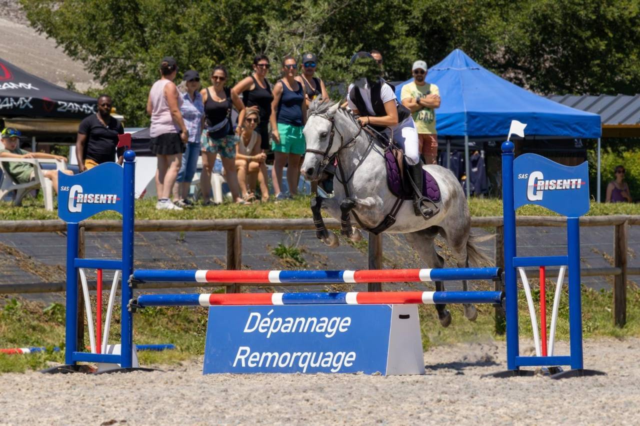 Cavalla Origine non conosciuta  In vendita 2019 Grigio ,  Fo'Reveur Du Jump