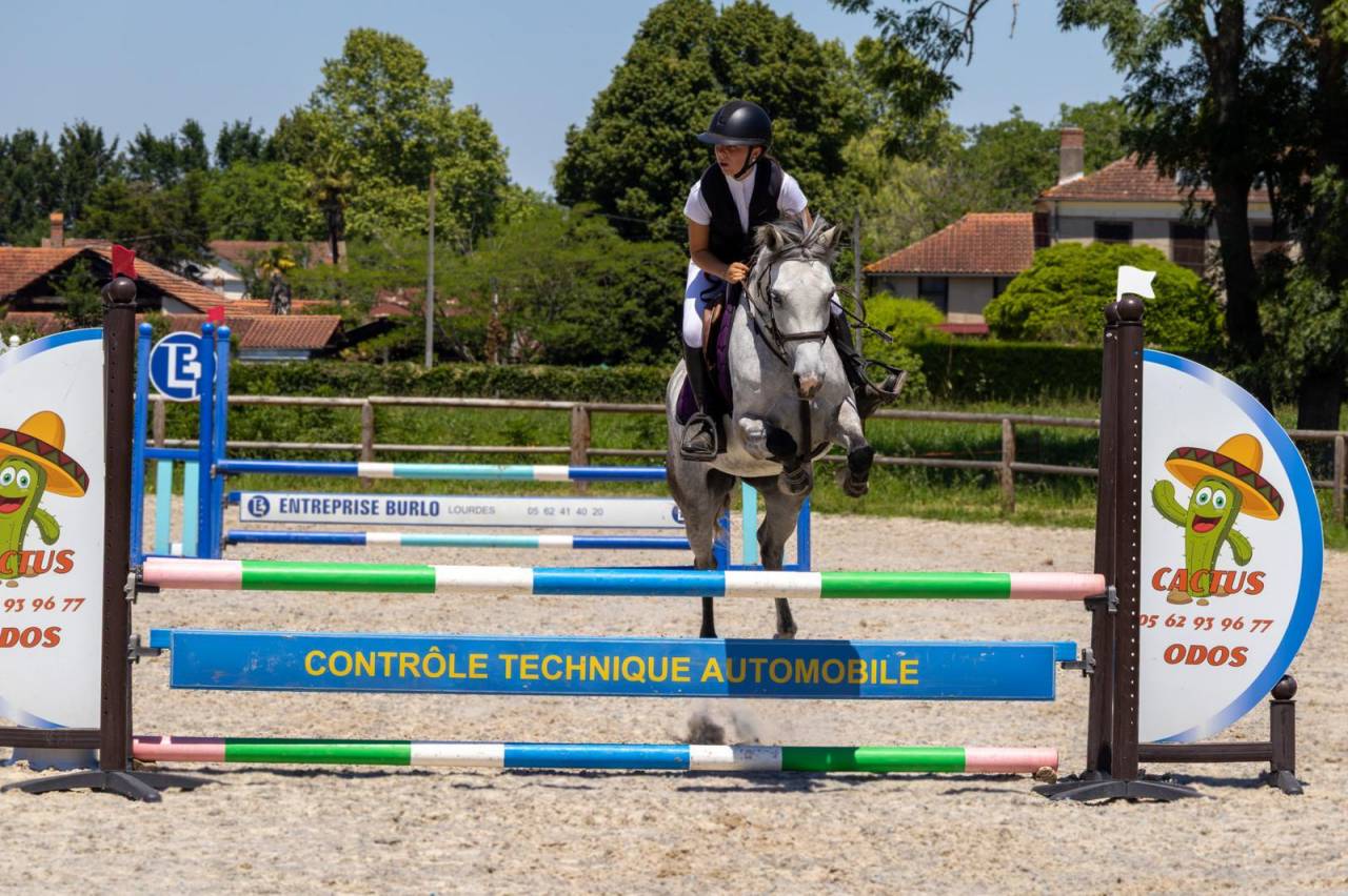 Cavalla Origine non conosciuta  In vendita 2019 Grigio ,  Fo'Reveur Du Jump