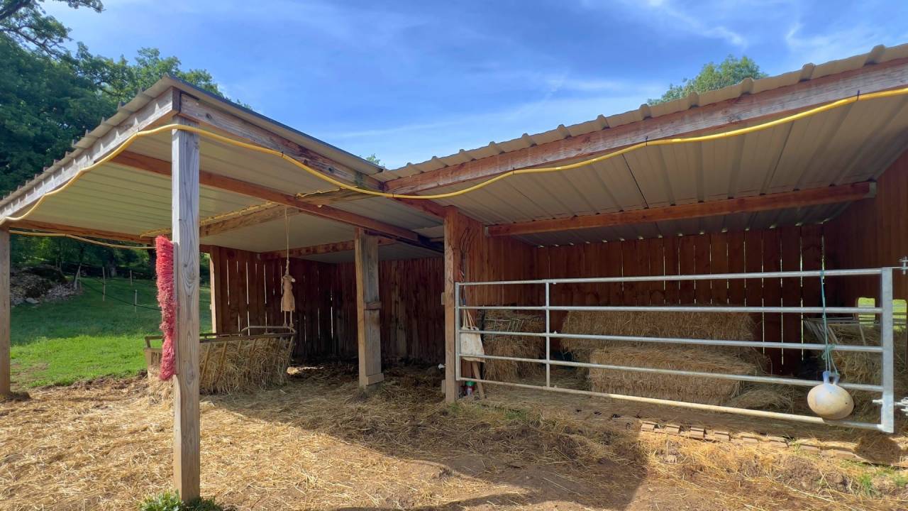 Propriet&agrave; di equiturismo In vendita Lot