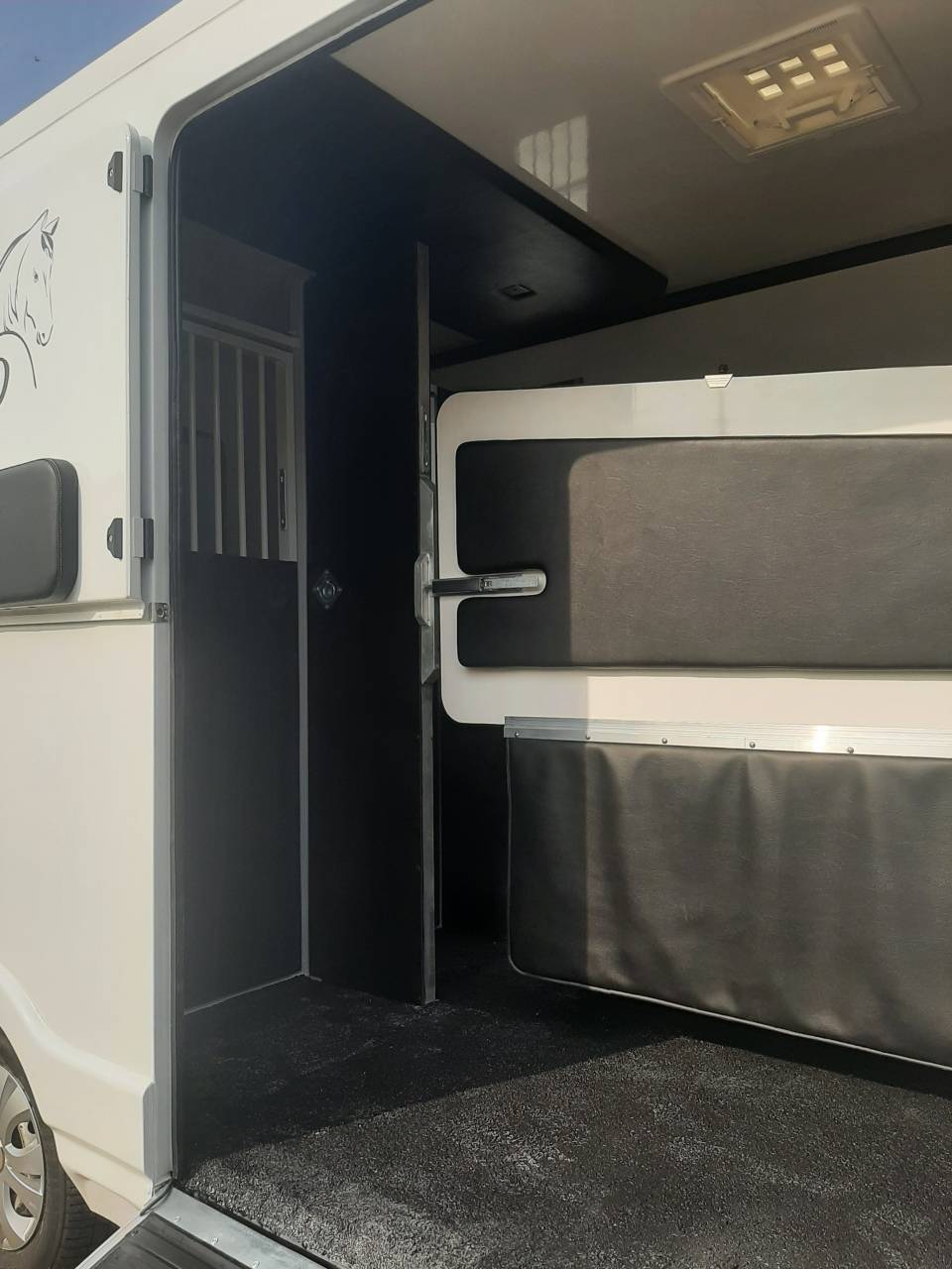 Van per Cavalli Renault Master 2019 Occasione
