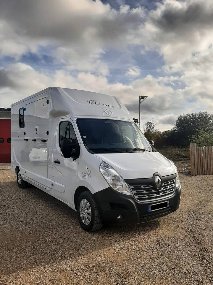 Van per Cavalli Renault Master 2019 Occasione