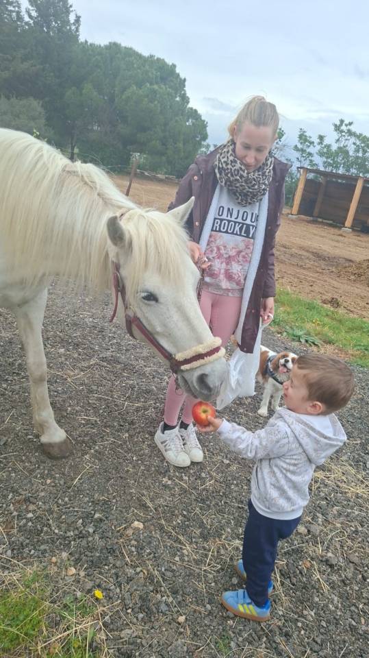 Cavalla Camargue Mezza-Pensione 2016 Bianco
