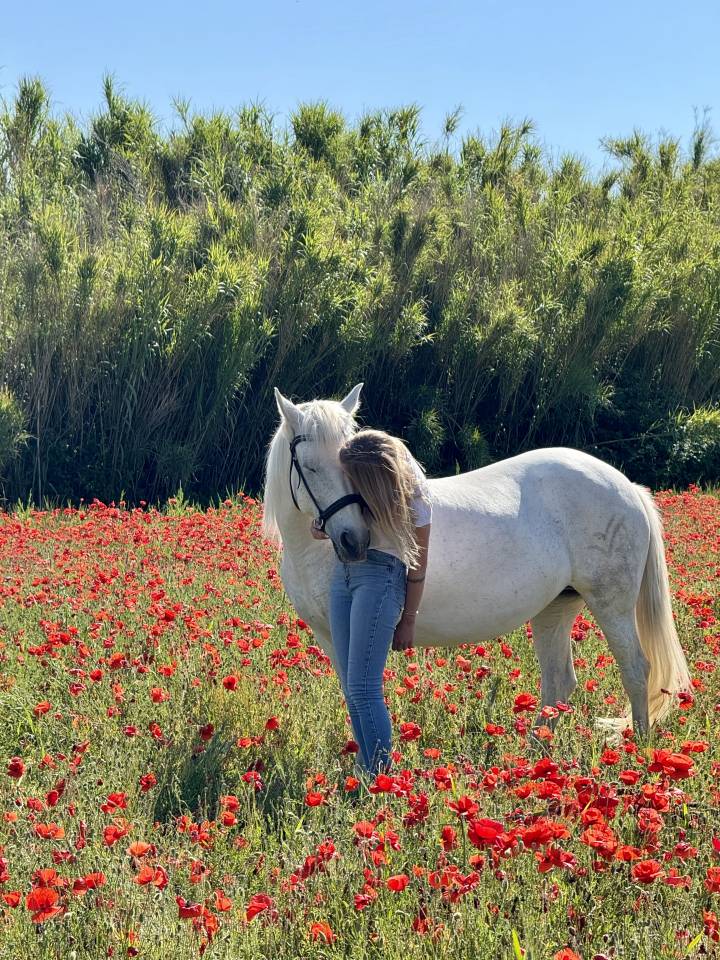 Cavalla Camargue Mezza-Pensione 2016 Bianco