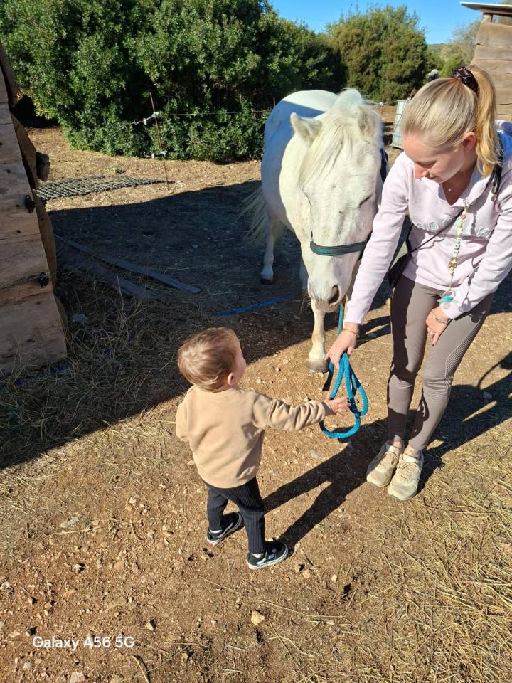 Cavalla Camargue Mezza-Pensione 2016 Bianco