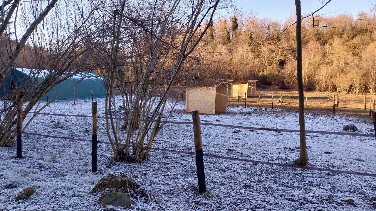 Pensione naturale per cavalli
