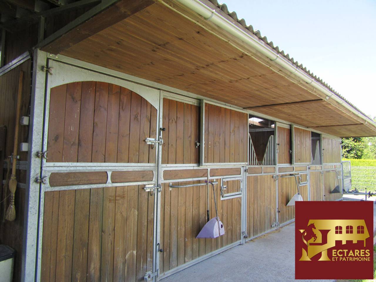 Propriet&agrave; equestre In vendita Pas-de-Calais