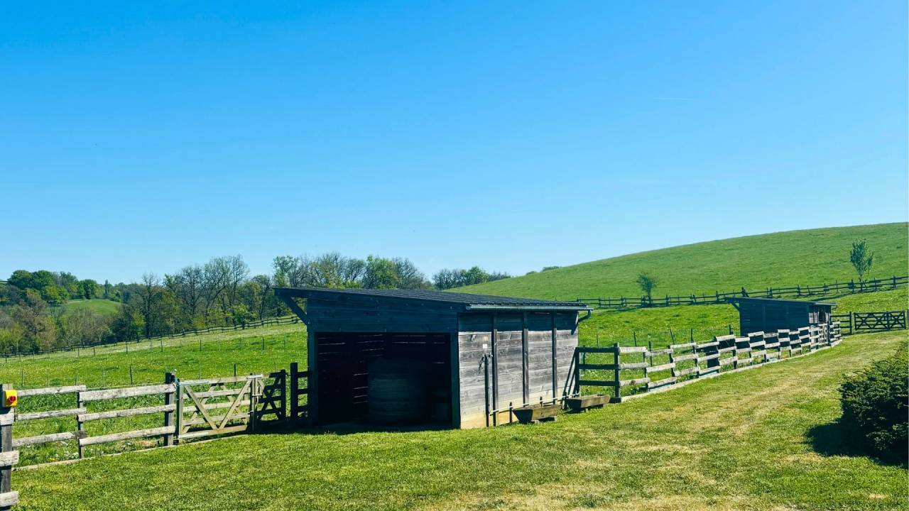 Propriet&agrave; equestre In vendita Lot