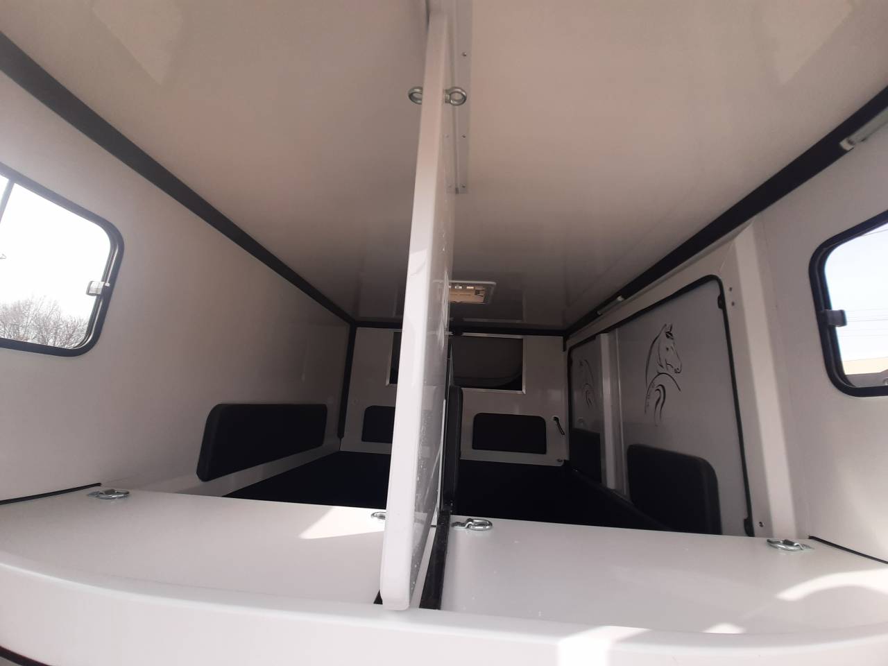 Van per Cavalli Renault Master 2018 Occasione