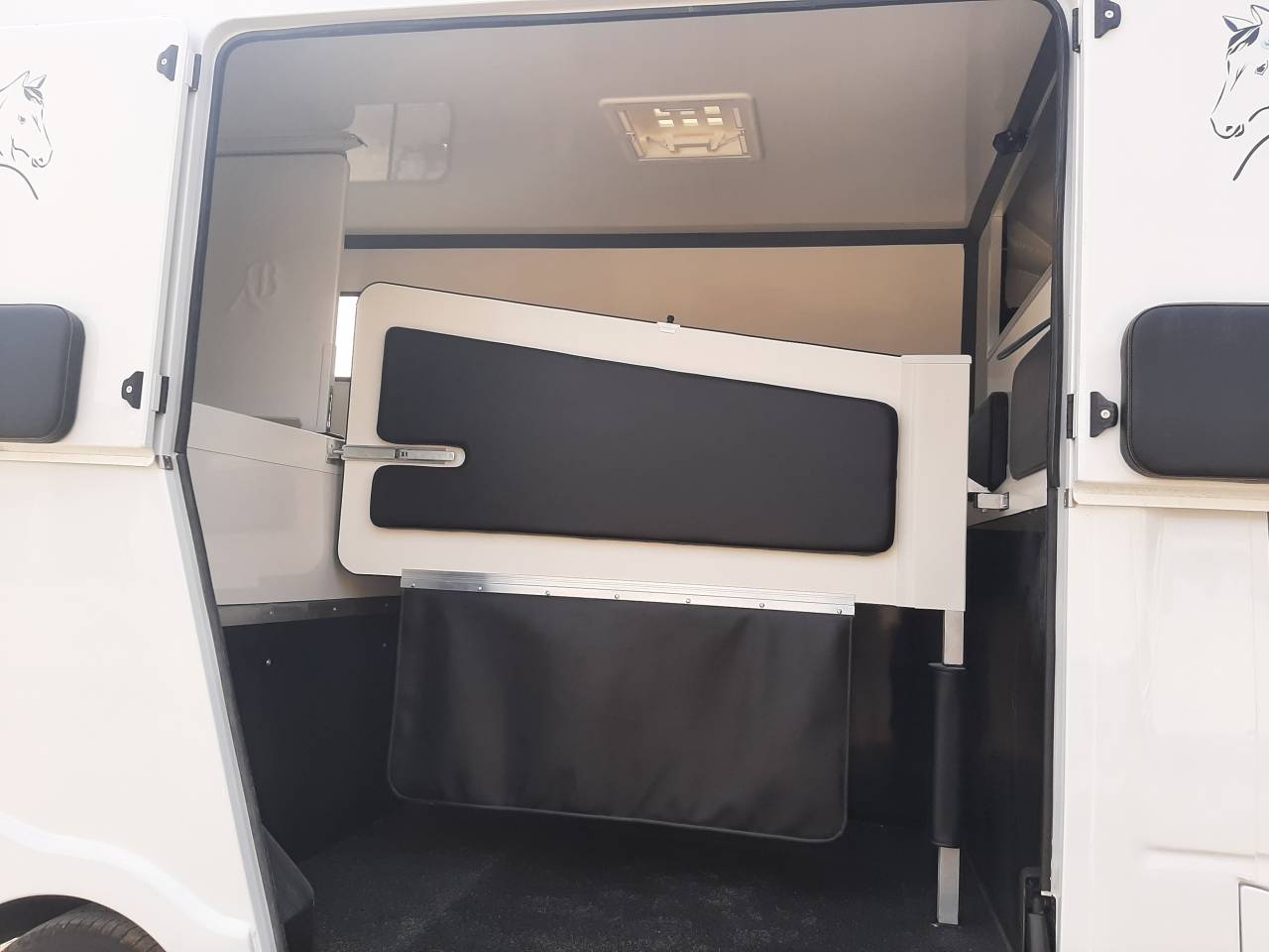 Van per Cavalli Renault Master 2018 Occasione