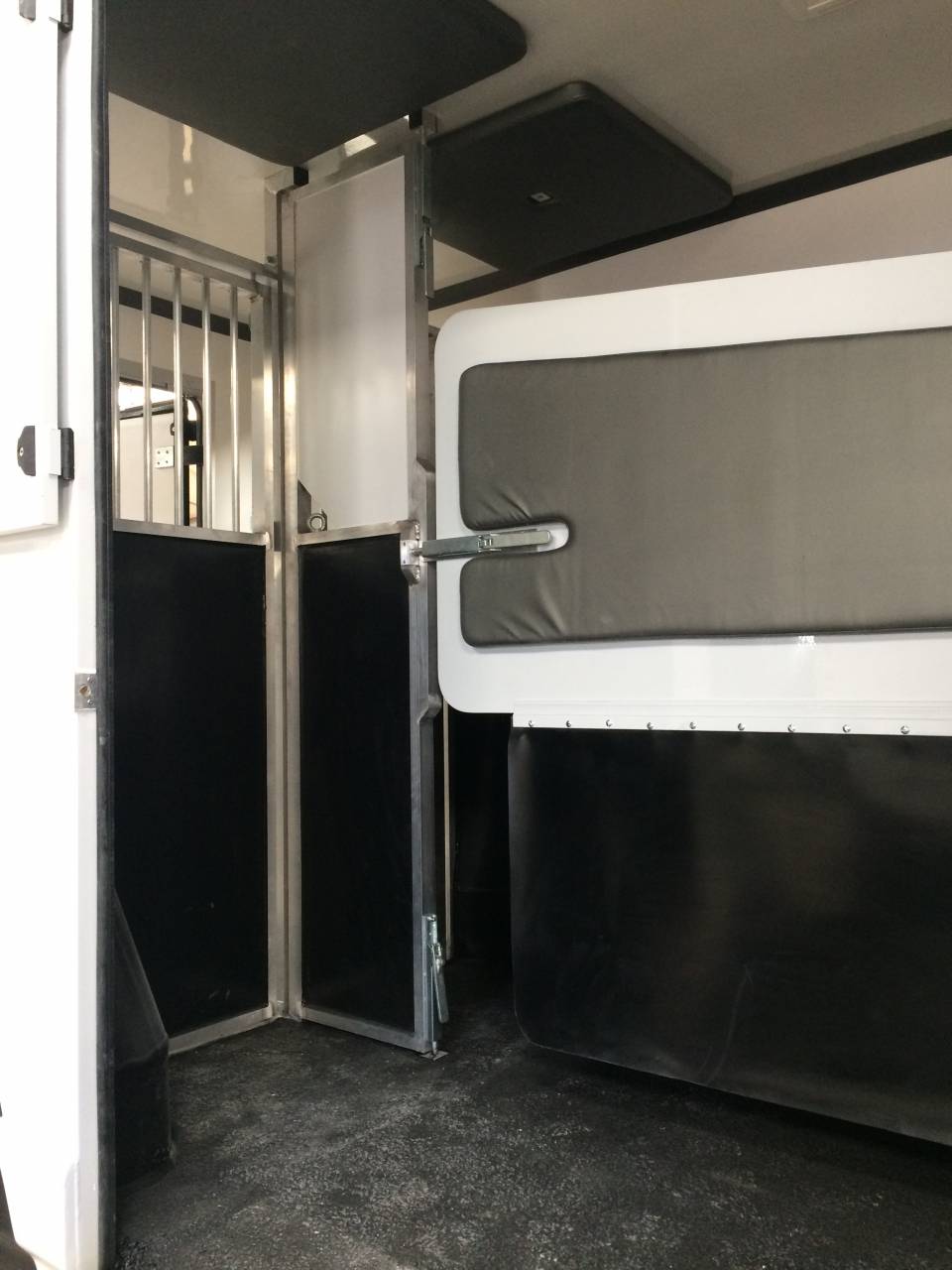 Van per Cavalli Renault Master 2021 Occasione