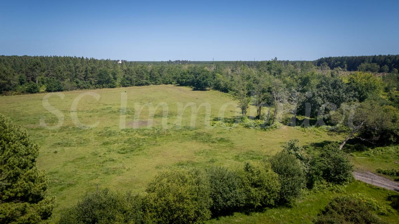 Bella dimora equestre In vendita Gironde