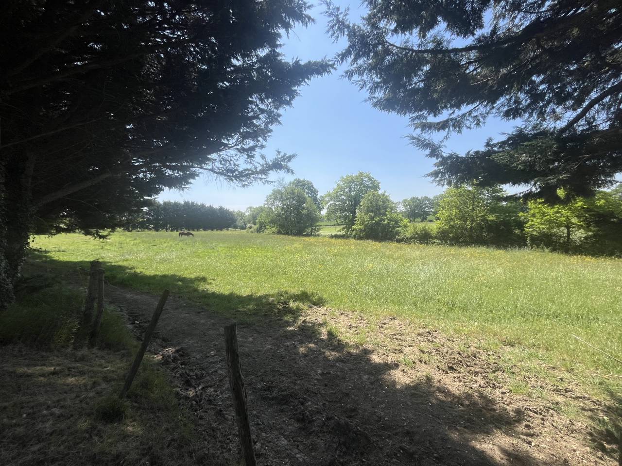 Bella dimora equestre In vendita Sarthe