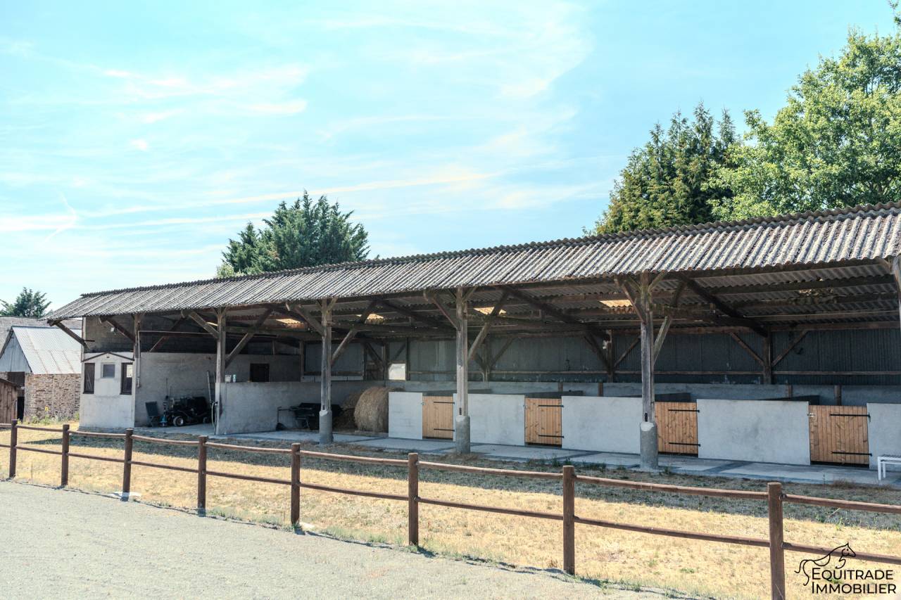 Bella dimora equestre In vendita Sarthe