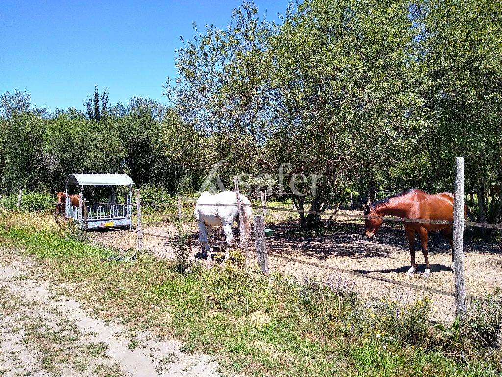 Propriet&agrave; equestre In vendita Gironde