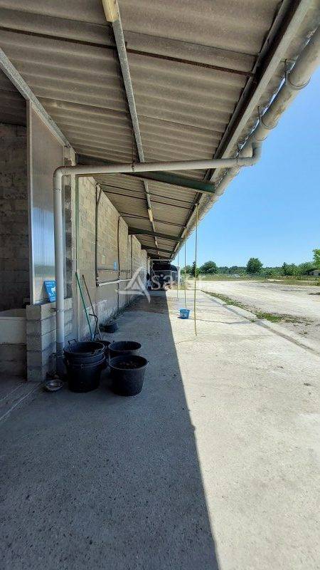 Propriet&agrave; equestre In vendita Gironde
