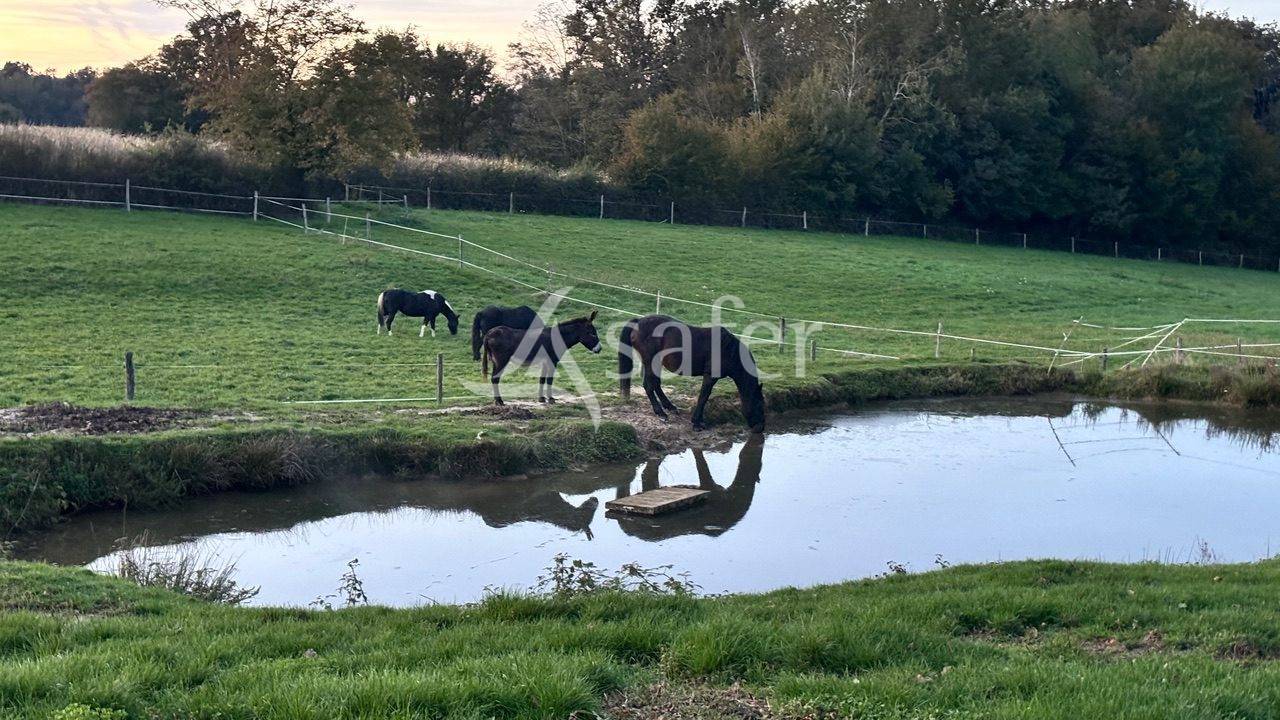 Propriet&agrave; equestre In vendita Sa&ocirc;ne-et-Loire