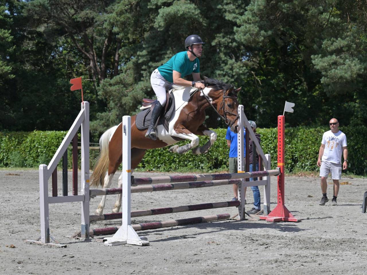 Cavalla Zangersheide In vendita 2021 Pezzato ,  Offspring van den heuval