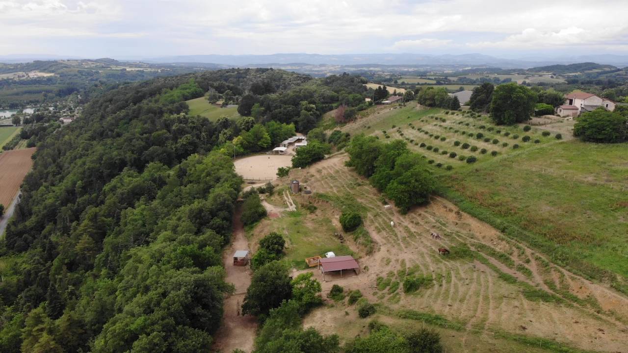 Fondo di negozio In vendita Dr&ocirc;me