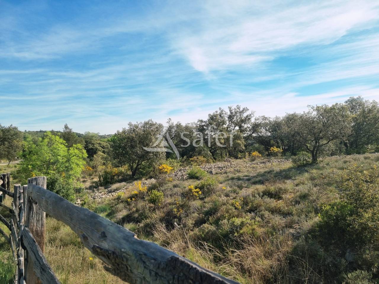 Azienda agricola In vendita Gard
