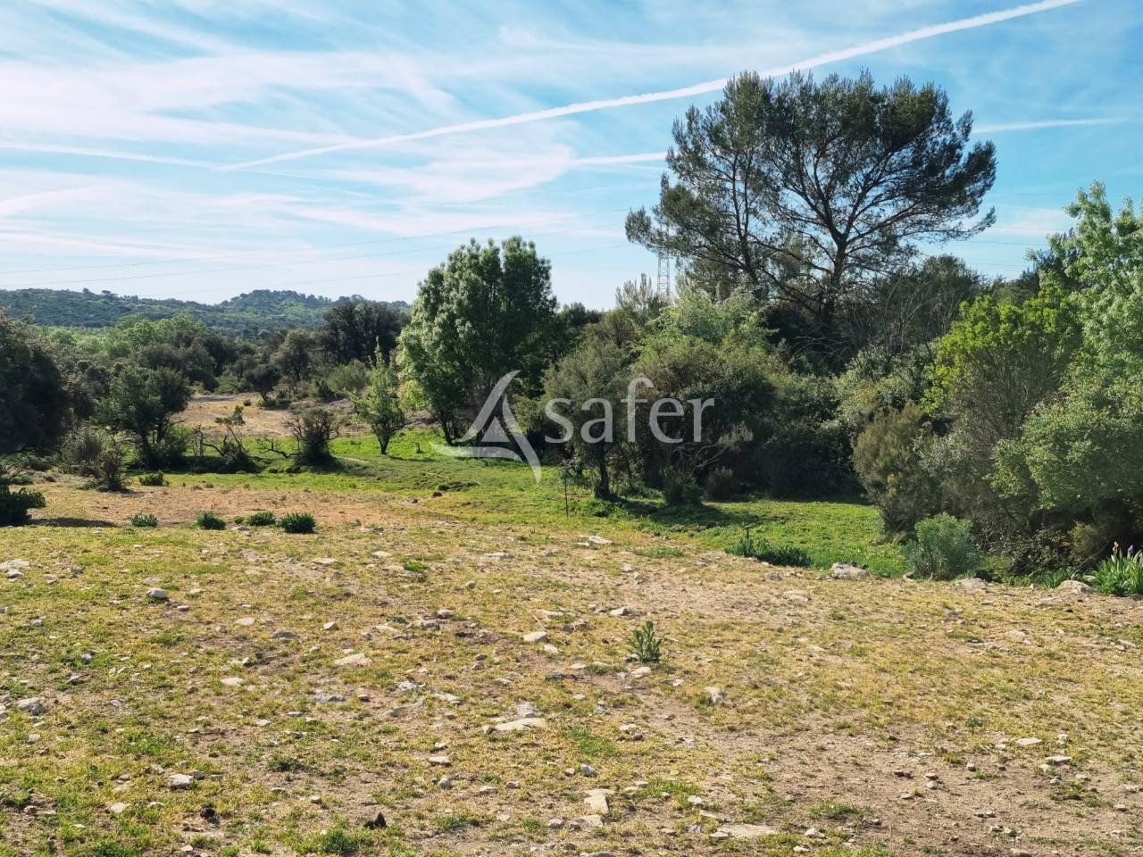 Azienda agricola In vendita Gard
