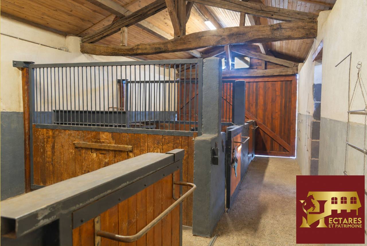 Alloggio equestre In vendita Puy-de-D&ocirc;me