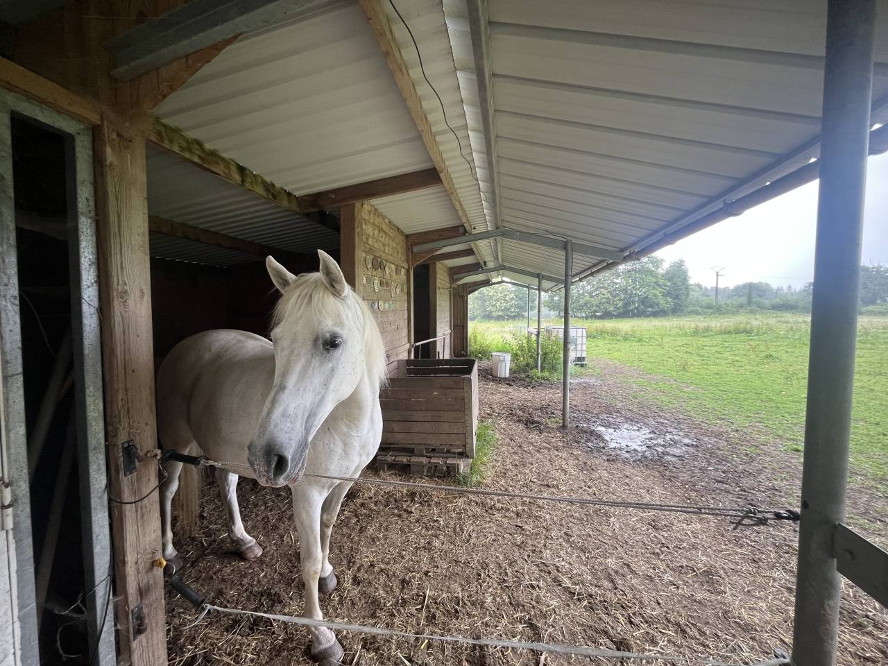 Bella dimora equestre In vendita Ile-et-Vilaine