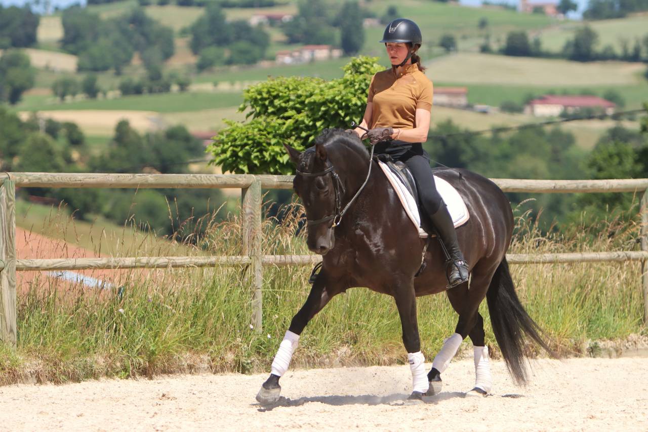 Cavalla PRE Andaluso In vendita 2017 Nero ,  TENORIO DE VERLIN