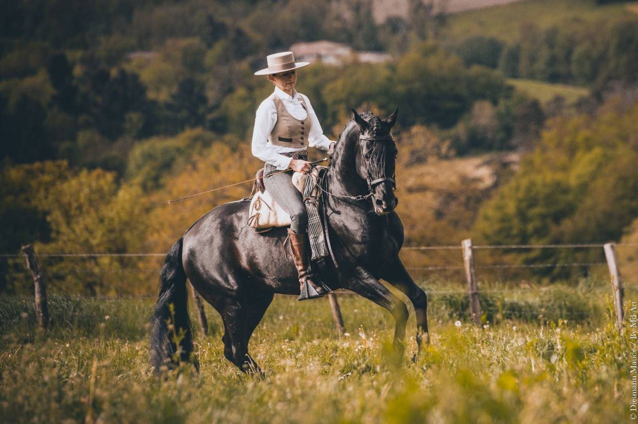 Cavalla PRE Andaluso In vendita 2017 Nero ,  TENORIO DE VERLIN