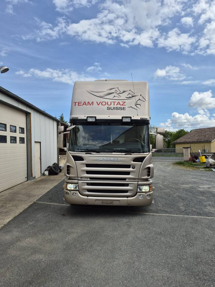 Camion per Cavalli Ketterer SCANIA P400 KETTERER 2012 Occasione