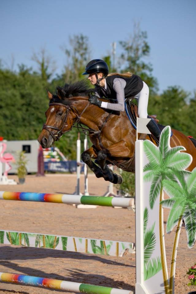 Cavalla PFS Pony Francese da Sella In vendita 2017 Baio