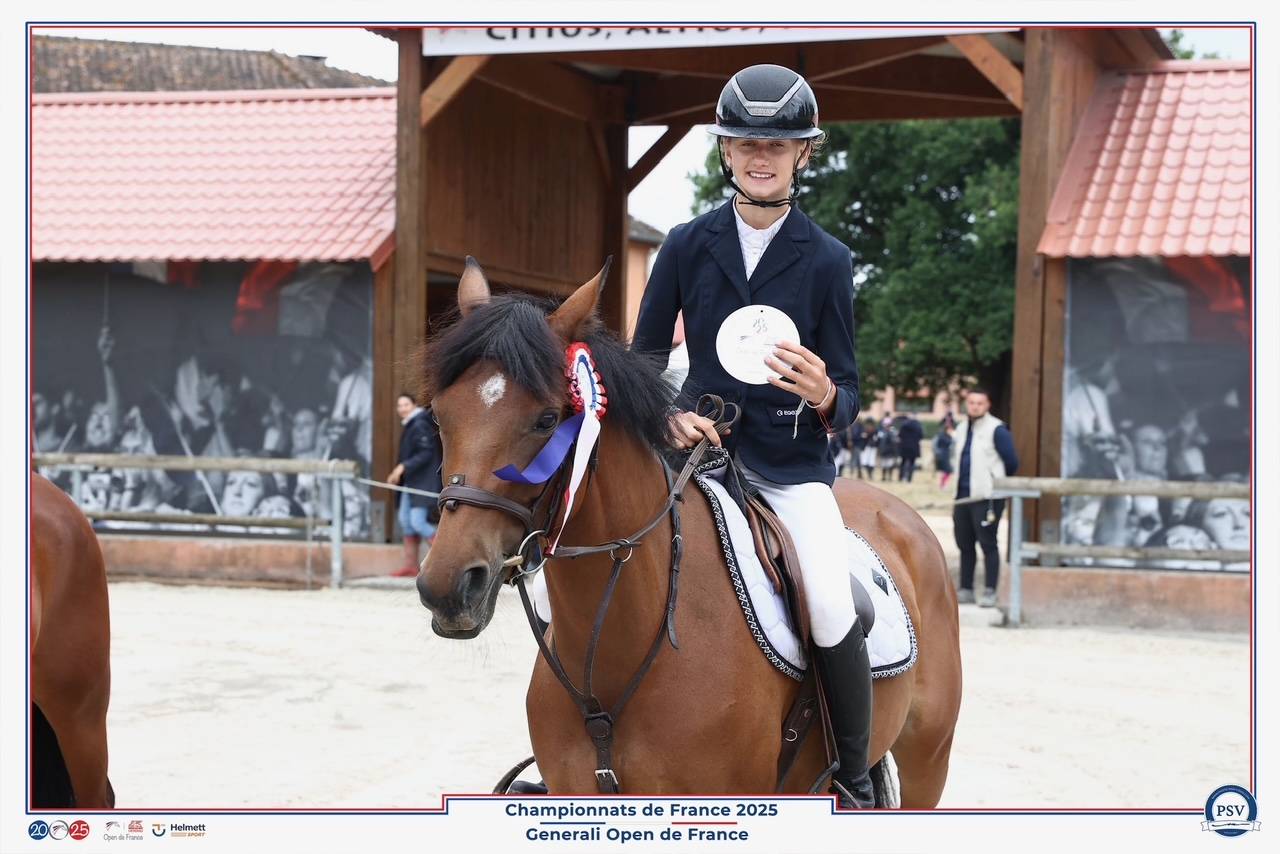 Cavalla PFS Pony Francese da Sella In vendita 2017 Baio