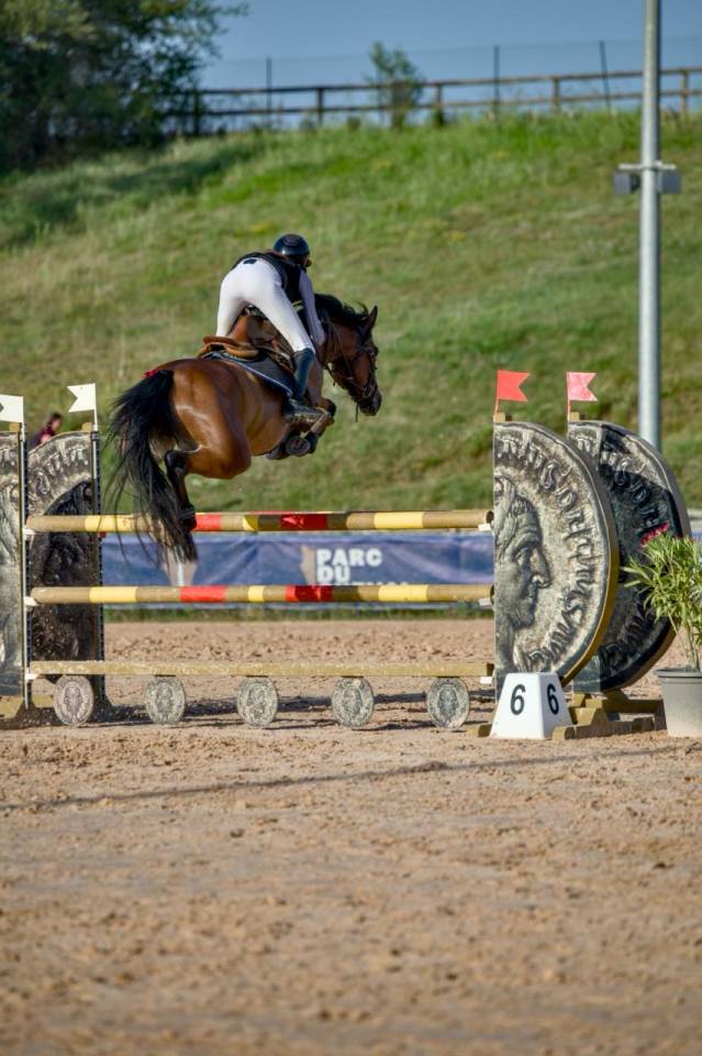 Cavalla PFS Pony Francese da Sella In vendita 2017 Baio