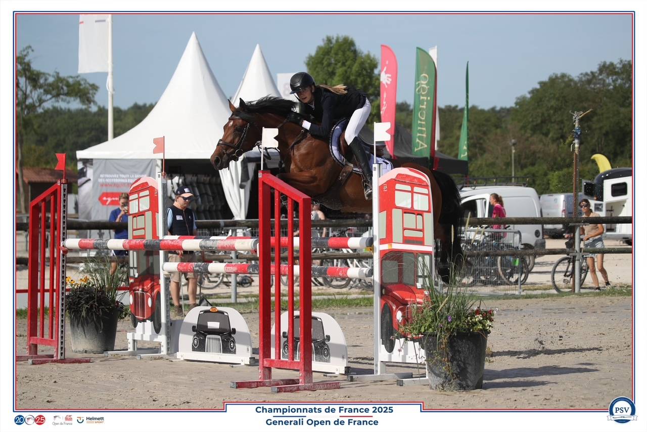 Cavalla PFS Pony Francese da Sella In vendita 2017 Baio