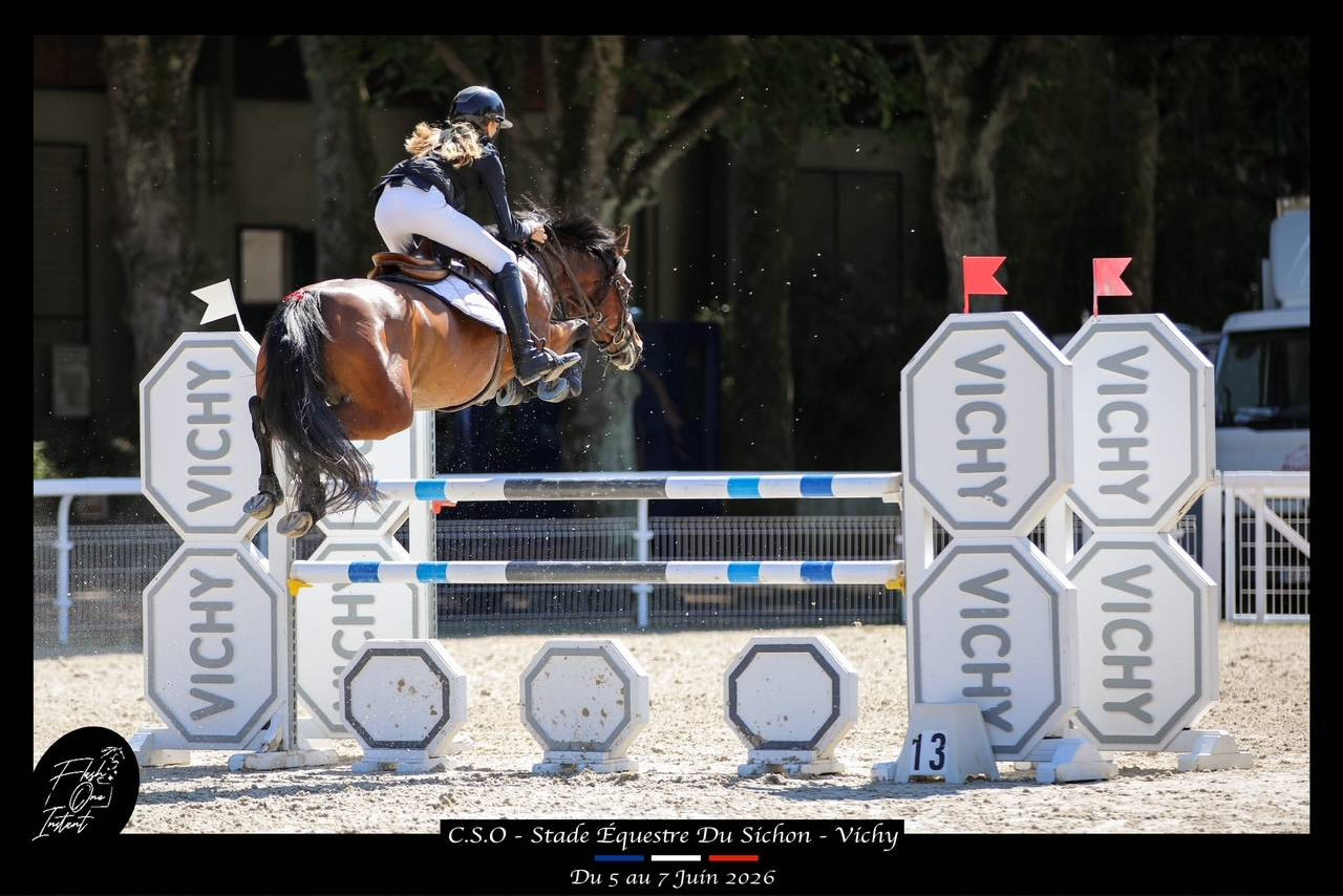 Cavalla PFS Pony Francese da Sella In vendita 2017 Baio