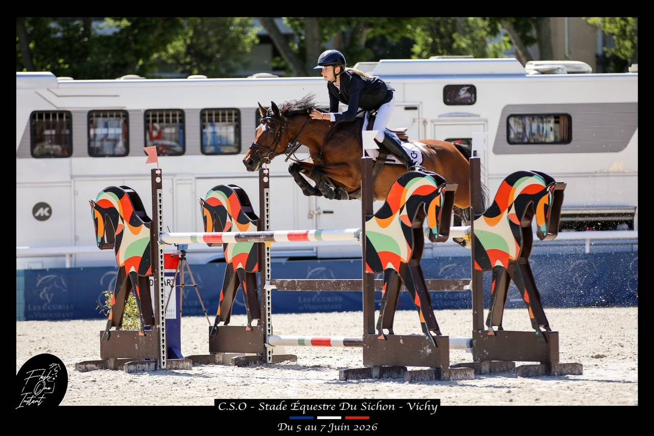 Cavalla PFS Pony Francese da Sella In vendita 2017 Baio